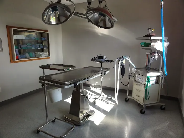 Frankenmuth - Birch Run Veterinary Hospital Picture 6
