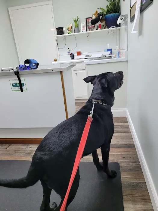 Fohey Veterinary Hospital Picture 1