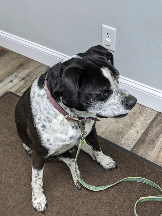 Fohey Veterinary Hospital Picture 5