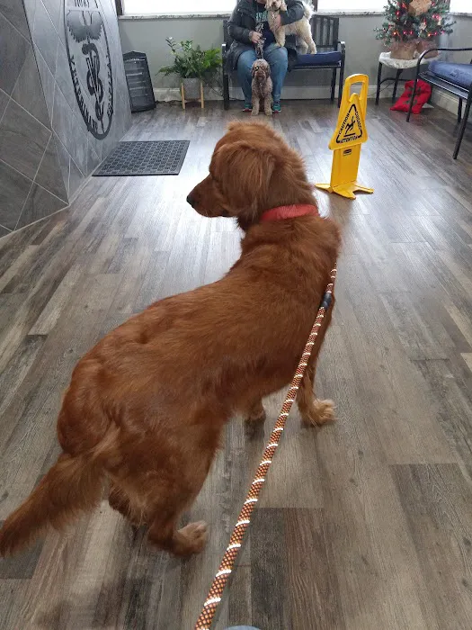 Fohey Veterinary Hospital Picture 2