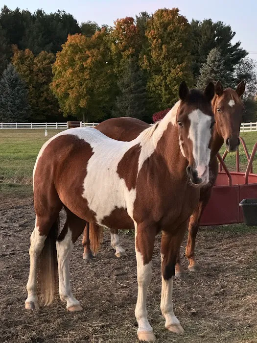 Four Winds Farm & Equine Hospital Picture 2