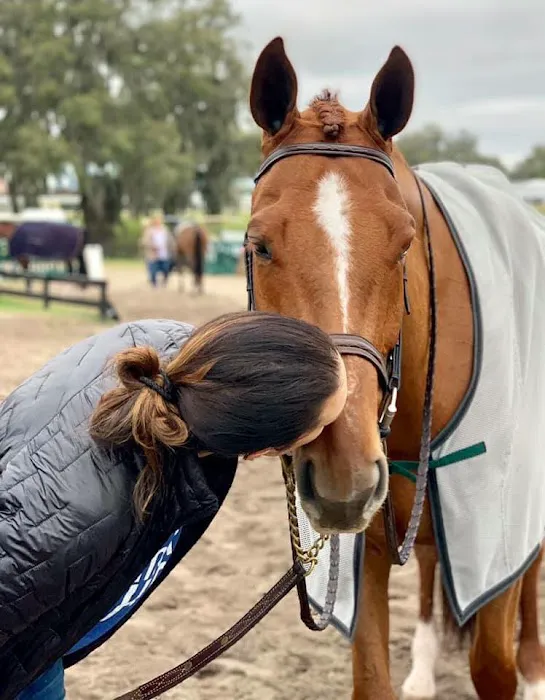 Four Winds Farm & Equine Hospital Picture 4