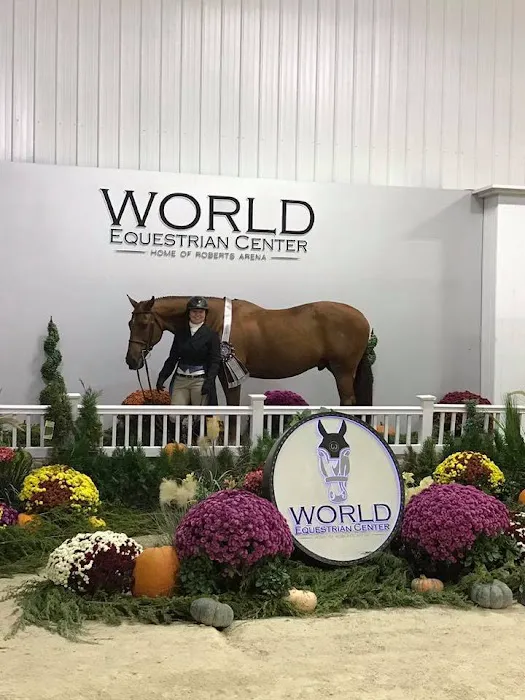 Four Winds Farm & Equine Hospital Picture 9