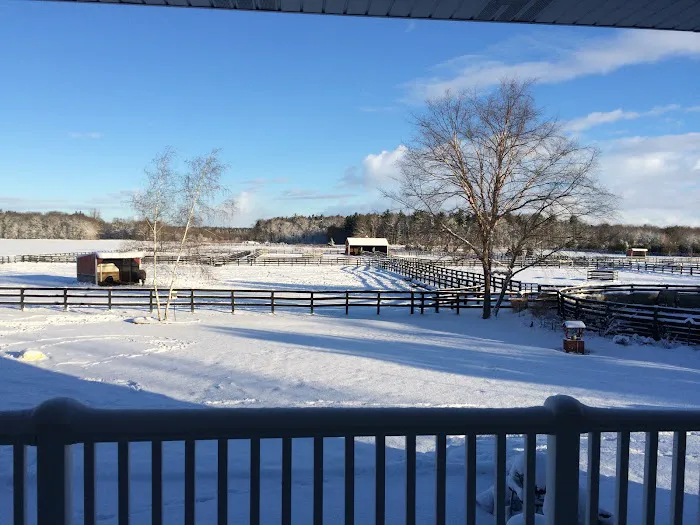 Four Winds Farm & Equine Hospital Picture 8
