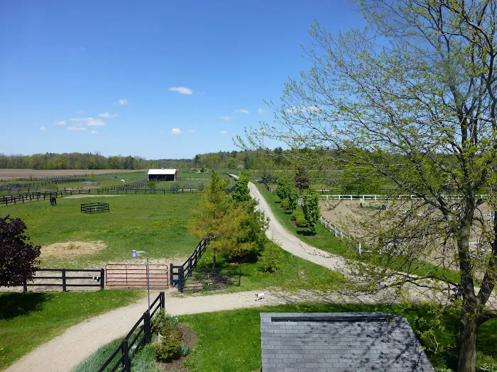 Four Winds Farm & Equine Hospital Picture 10