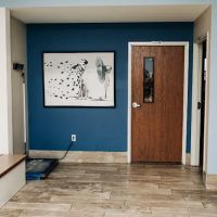 Mayfair Animal Hospital ico