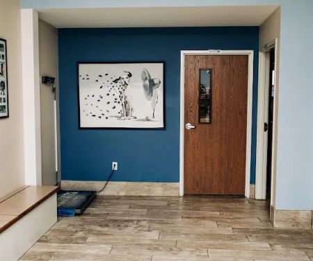 Mayfair Animal Hospital