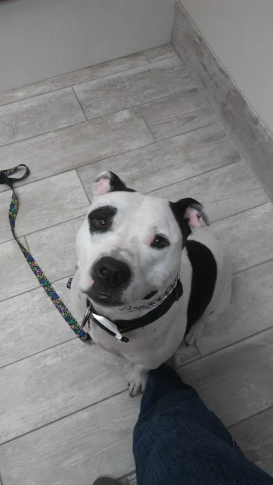 Mayfair Animal Hospital Picture 5