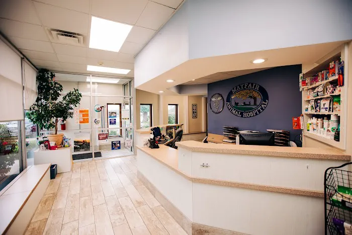 Mayfair Animal Hospital Picture 8