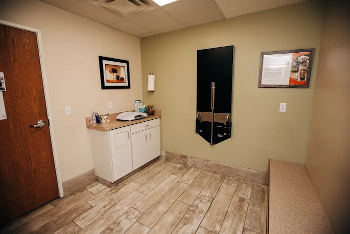 Mayfair Animal Hospital Picture 10