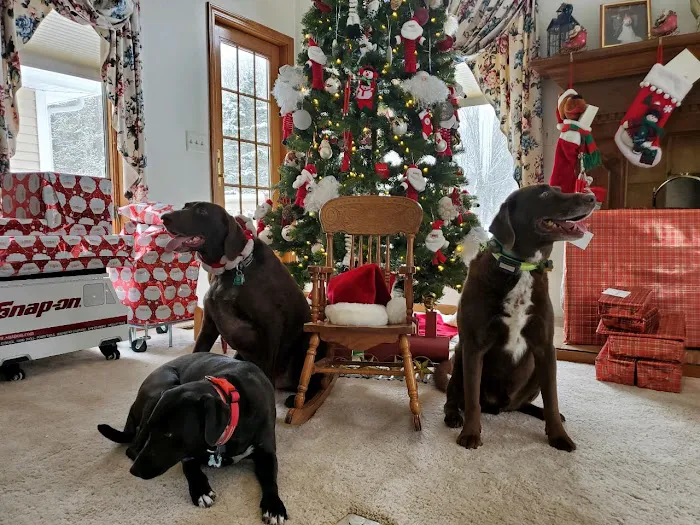 VCA Countryside Animal Hospital of Howell Picture 1
