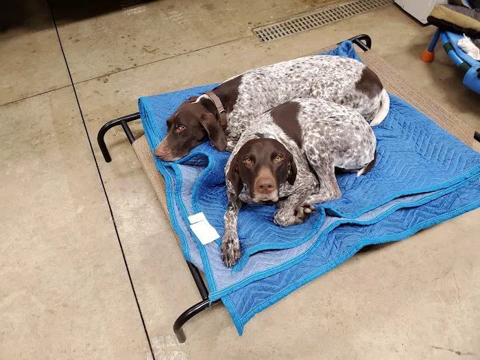 VCA Countryside Animal Hospital of Howell Picture 3