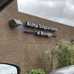 Animal Surgical Center of Michigan
