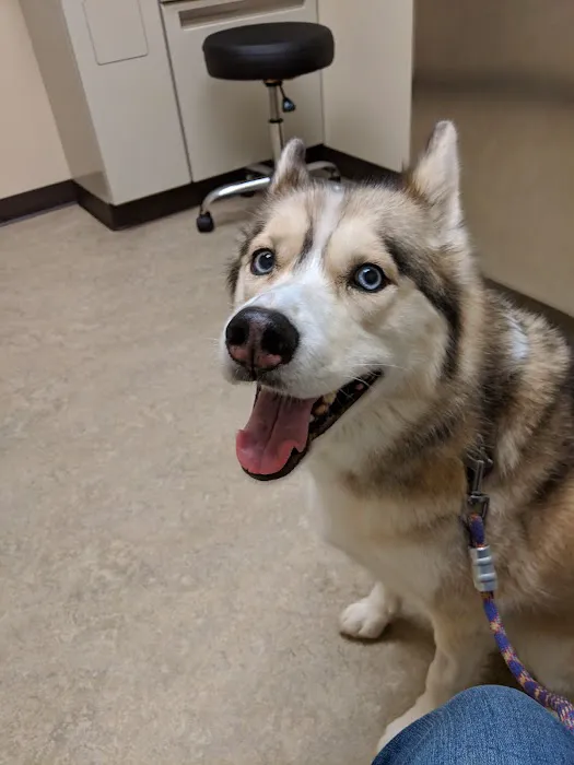 Animal Surgical Center of Michigan Picture 7