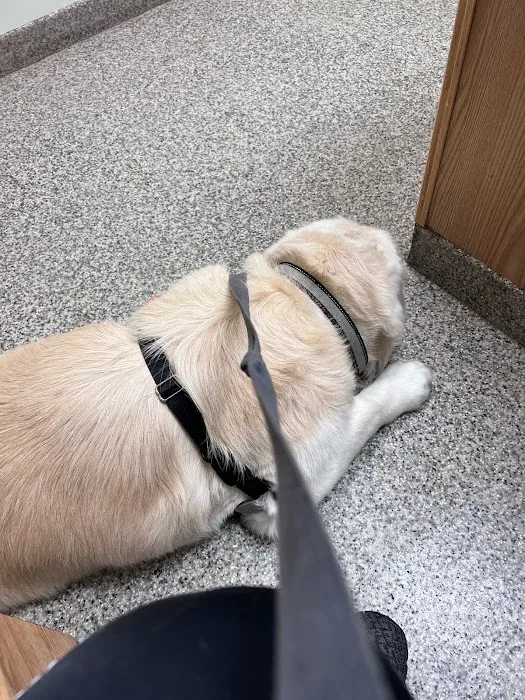 Howell Animal Hospital Picture 2