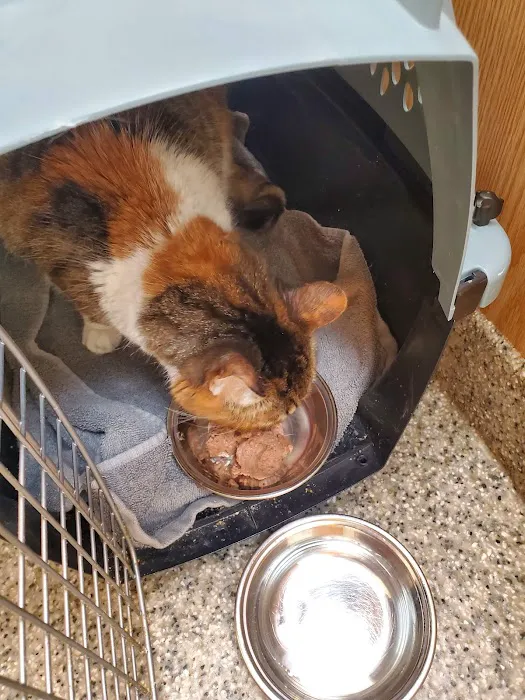 Howell Animal Hospital Picture 1