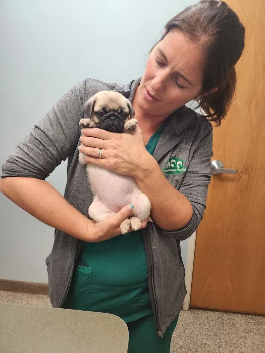 Howell Animal Hospital Picture 4