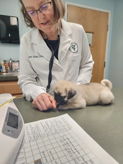 Howell Animal Hospital Picture 5