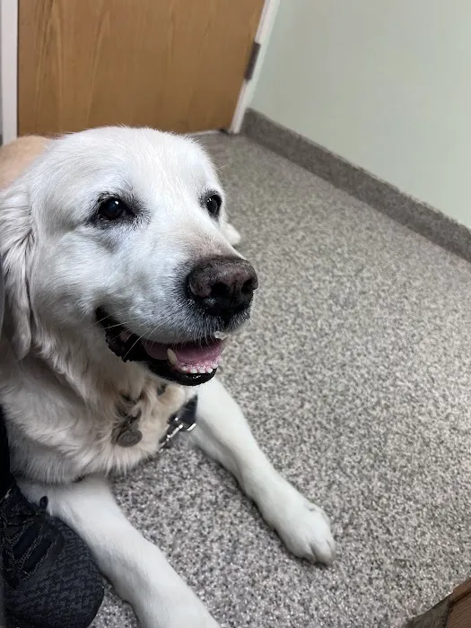 Howell Animal Hospital Picture 3