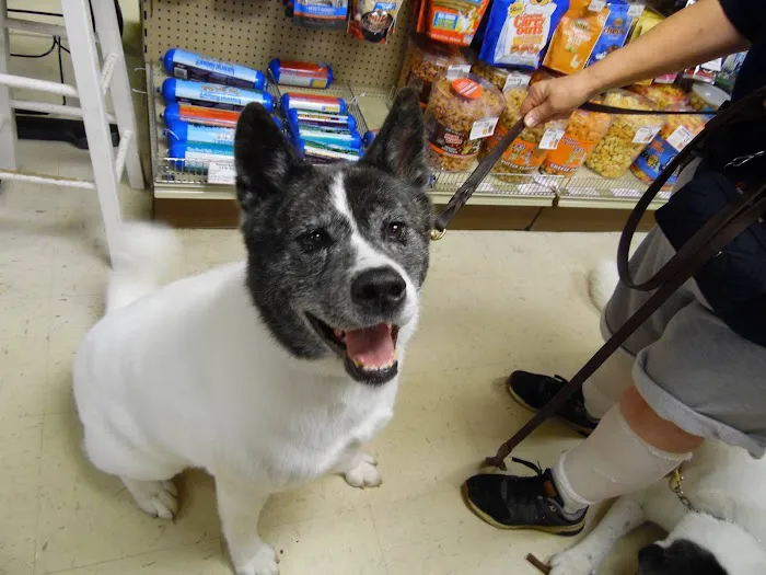 Howell Animal Hospital Picture 7