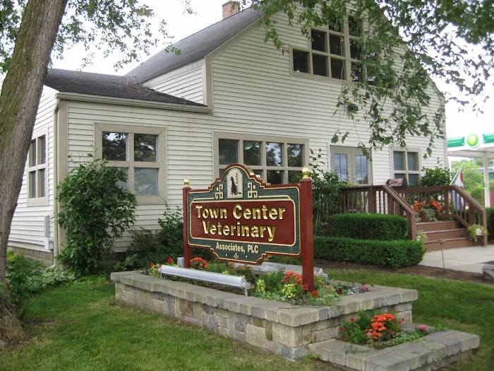 Town Center Veterinary Associates Picture 3
