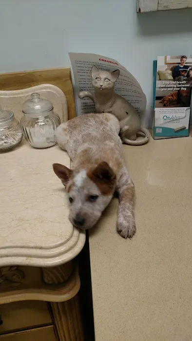 Lynchburg Veterinary Hospital Picture 6