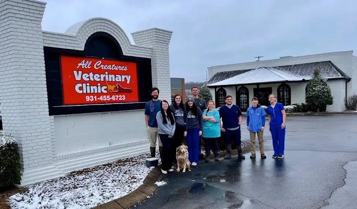 All Creatures Veterinary Clinic Picture 2