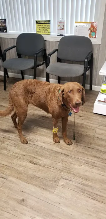 Hambrick Animal Clinic Picture 5