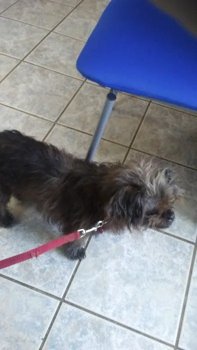 Crownover Animal Clinic Picture 6