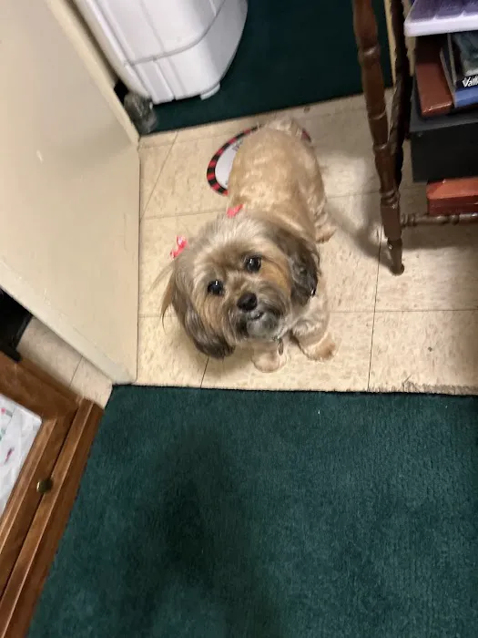Crownover Animal Clinic Picture 2