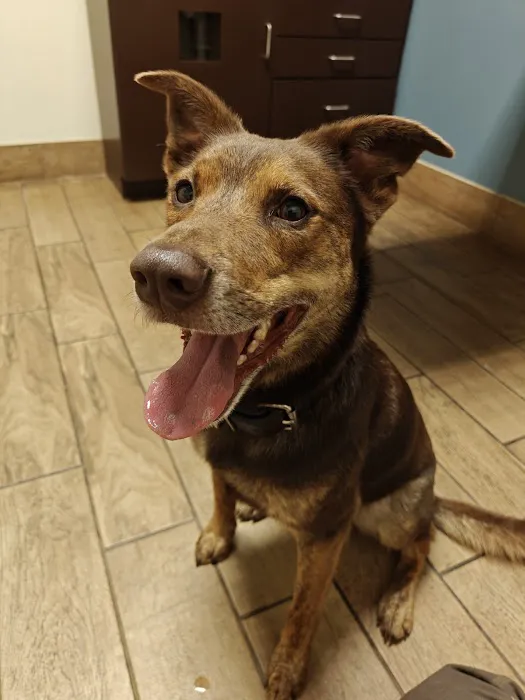 Lewisburg Animal Hospital Picture 5