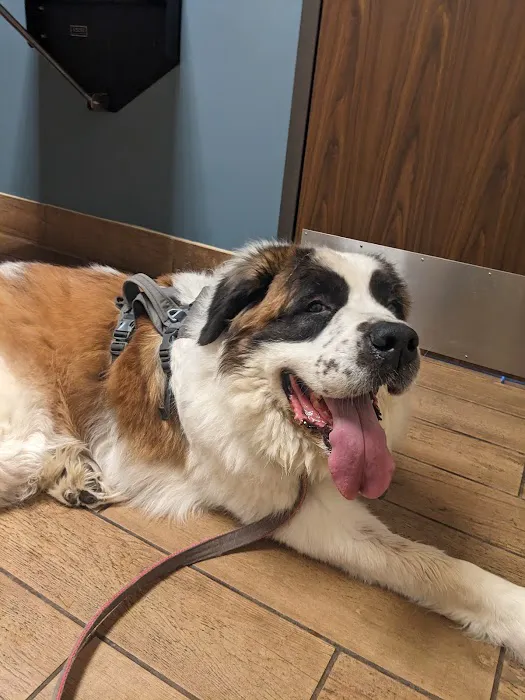 Lewisburg Animal Hospital Picture 10