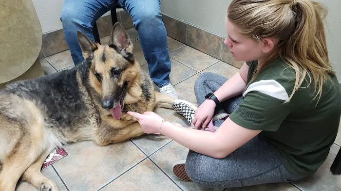 Lovet Pet Health Care - Happy Valley Picture 9