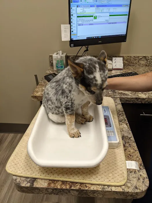 Parkway Animal Clinic Picture 1