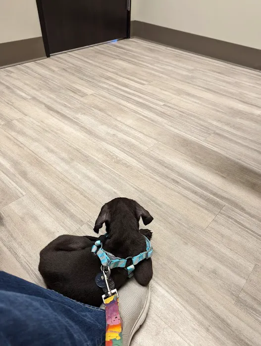 Parkway Animal Clinic Picture 2