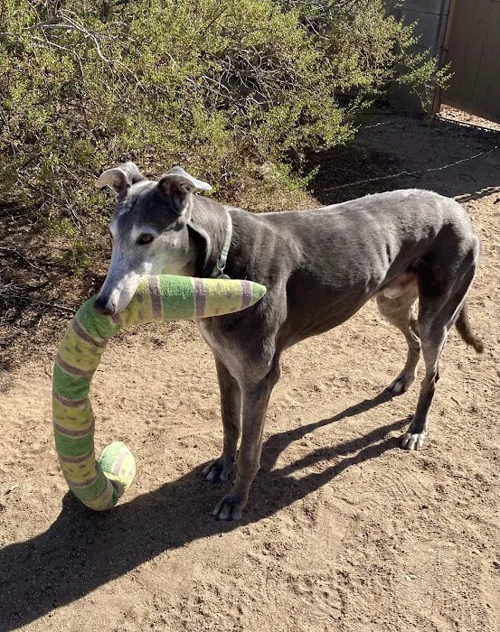 Parkway Animal Clinic Picture 4