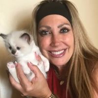 Razmataz Ragdoll Cats ico