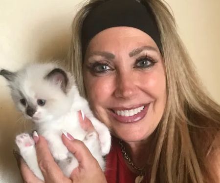 Razmataz Ragdoll Cats