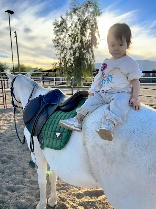 Cave Creek Equine Sports Medicine & Surgery Picture 1