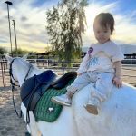 Cave Creek Equine Sports Medicine & Surgery