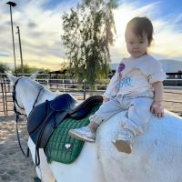 Cave Creek Equine Sports Medicine & Surgery ico