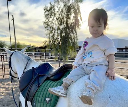 Cave Creek Equine Sports Medicine & Surgery