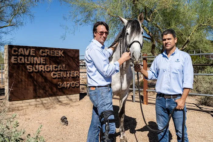 Cave Creek Equine Sports Medicine & Surgery Picture 5