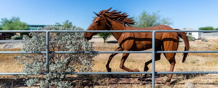 Cave Creek Equine Sports Medicine & Surgery Picture 6
