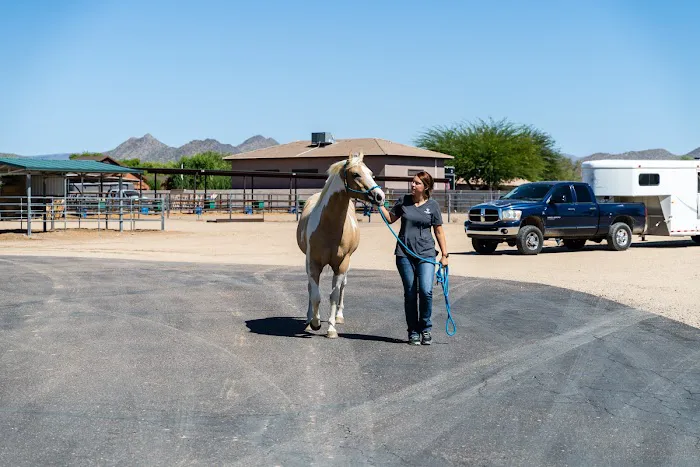 Cave Creek Equine Sports Medicine & Surgery Picture 8