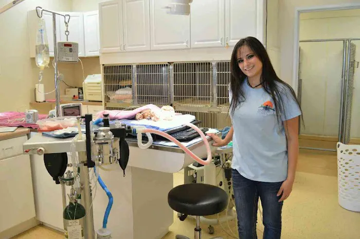 Desert Hills Animal Clinic Picture 6