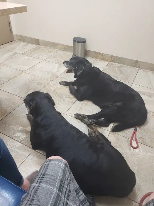Rahal, Cheryl, Dvm - Desert Hills Animal Clinic Picture 1