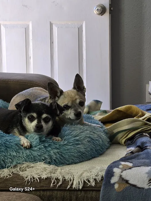 Sonoran Foothills Pet Clinic Picture 3