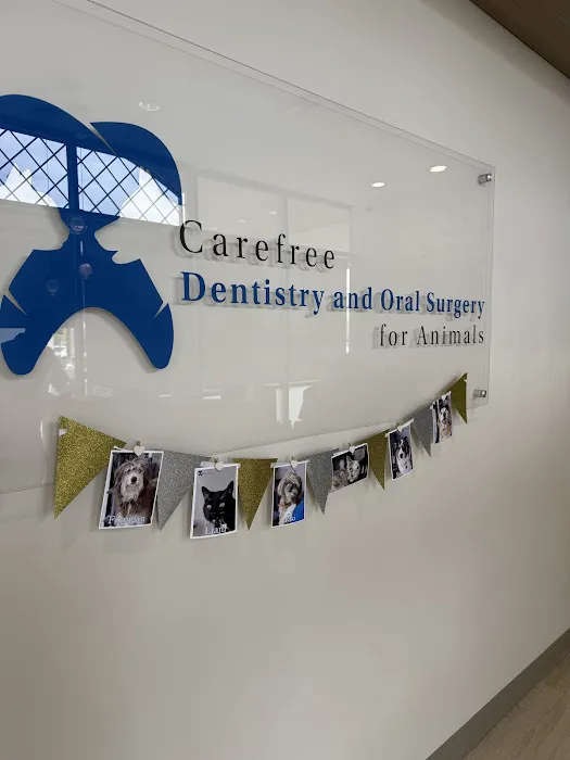 Carefree Dentistry and Oral Surgery for Animals Picture 1