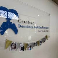 Carefree Dentistry and Oral Surgery for Animals ico